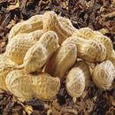 Atmos Lab aroma Nutacco 30ml